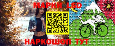 МДПВ Бийск