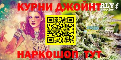 МДПВ Бийск